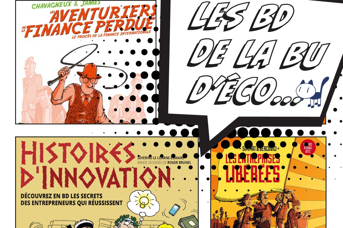 ZOOM sur... les BD de la BU d'Eco-gestion