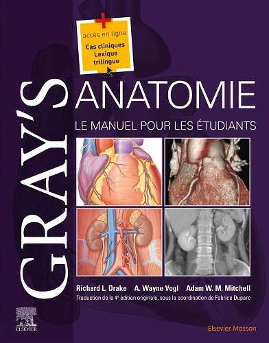 Gray's Anatomie