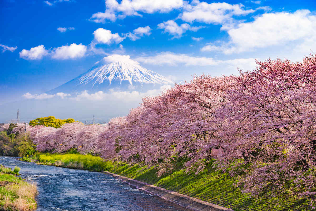 Mont Fuji au Japon